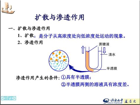 扩散作用|扩散和渗透的异同有哪些？